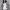 https://res.cloudinary.com/billionhands/image/upload/v1775436320/items/vt9mquk7gvehv7kcrlxr.jpg-1cover