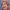 https://res.cloudinary.com/billionhands/image/upload/v1775436327/items/sqv3nuabq9gykzq8qwtm.jpg-1cover
