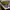 https://res.cloudinary.com/billionhands/image/upload/v1775436341/items/jfkaonemv6qp8qvekng1.png-2cover