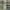 https://res.cloudinary.com/billionhands/image/upload/v1775436355/items/qscjzd1ddim9dpqhc7ur.jpg-1cover