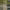 https://res.cloudinary.com/billionhands/image/upload/v1775436356/items/vdoi0uttbb1vj17dwypq.jpg-2cover