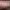 https://res.cloudinary.com/billionhands/image/upload/v1775437638/items/iefzx5sk94tfbrunfeke.jpg-2cover
