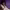 https://res.cloudinary.com/billionhands/image/upload/v1775437731/items/ryxgoropx5hw6emob6f6.jpg-0cover