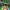 https://res.cloudinary.com/billionhands/image/upload/v1775439105/items/eirdwptfrpaxlwt7qnba.jpg-0cover