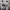 https://res.cloudinary.com/billionhands/image/upload/v1775439433/items/dl1gbzjad6k9u8nblbdx.webp-2cover