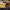 https://res.cloudinary.com/billionhands/image/upload/v1775440284/items/tbor4goldtscqjelgdro.jpg-1cover