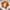 https://res.cloudinary.com/billionhands/image/upload/v1775440427/items/j4almrnxc3spccp5ypqn.jpg-3cover