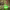 https://res.cloudinary.com/billionhands/image/upload/v1775441141/items/ueaxyd8wfoovx04iorzm.jpg-3cover