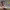 https://res.cloudinary.com/billionhands/image/upload/v1775441478/items/wkq885ydsx5pk9ivppi3.jpg-3cover