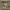 https://res.cloudinary.com/billionhands/image/upload/v1775441500/items/qr5vknvdzivfjcxco2oj.jpg-2cover