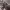 https://res.cloudinary.com/billionhands/image/upload/v1775443443/items/fytlg878eobjmffbsexa.webp-2cover
