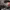 https://res.cloudinary.com/billionhands/image/upload/v1775443456/items/nfk5ntwlajasyxwoaerw.jpg-2cover