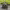 https://res.cloudinary.com/billionhands/image/upload/v1775443625/items/fmlcbdlwaqtlmdxin3fd.jpg-2cover