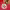 https://res.cloudinary.com/billionhands/image/upload/v1775445428/items/t0w5vqyas67fquu9u1px.avif-2cover