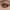 https://res.cloudinary.com/billionhands/image/upload/v1775445499/items/kuljh0rwowskp0ftp56n.webp-2cover