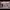 https://res.cloudinary.com/billionhands/image/upload/v1775445755/items/io8cqntcnlnzcdzii9xs.jpg-3cover