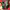 https://res.cloudinary.com/billionhands/image/upload/v1775447128/items/lyygrz6jtaxbx7vtwjnr.jpg-3cover