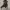 https://res.cloudinary.com/billionhands/image/upload/v1775447630/items/nuvuqtb6oiqfs3b2sqbu.jpg-3cover