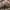 https://res.cloudinary.com/billionhands/image/upload/v1775448231/items/tzdd7htrauyl00hge51u.webp-3cover