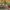 https://res.cloudinary.com/billionhands/image/upload/v1775448233/items/bz7gql1mhvjbwwyxzbty.webp-3cover