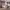 IKEA IDANÄS Ottoman bed with storage (beige) cover