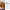 https://res.cloudinary.com/billionhands/image/upload/v1775448667/items/spuli3way8troml8wuor.webp-0cover