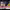 https://res.cloudinary.com/billionhands/image/upload/v1775449385/items/gzogoqsquw5oeeqyycul.jpg-0cover