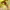 https://res.cloudinary.com/billionhands/image/upload/v1775450124/items/xshmi5ufrcfslnn78kbc.jpg-0cover