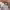 https://res.cloudinary.com/billionhands/image/upload/v1775450205/items/bvpz7iy4mbj2kuhxec7l.jpg-2cover