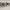 https://res.cloudinary.com/billionhands/image/upload/v1775450205/items/urj4p3sd1ri3mrcfctwa.jpg-2cover