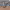 https://res.cloudinary.com/billionhands/image/upload/v1775450261/items/cccsy4howvo8dxsqvaqb.jpg-1cover