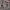 https://res.cloudinary.com/billionhands/image/upload/v1775450736/items/og7cssbuflatngklsadh.jpg-3cover