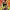 https://res.cloudinary.com/billionhands/image/upload/v1775450902/items/hsvdy5vw8eeitjkjz20b.jpg-0cover