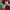 https://res.cloudinary.com/billionhands/image/upload/v1775450903/items/bjmdqabjiqmnpefykm2h.jpg-1cover