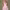 https://res.cloudinary.com/billionhands/image/upload/v1775451893/items/hfigsmnc4hlockkkmfaa.webp-1cover