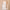 https://res.cloudinary.com/billionhands/image/upload/v1775451896/items/vcpqzv9ycuu5kqhhz9nq.webp-2cover