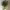 https://res.cloudinary.com/billionhands/image/upload/v1775452230/items/rhopujw5cr5iaiwjvqw0.webp-1cover