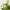 https://res.cloudinary.com/billionhands/image/upload/v1775452232/items/thrpryebycnwv2rnnf7o.webp-3cover