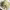 https://res.cloudinary.com/billionhands/image/upload/v1775452632/items/lurayjkufgp6cnoge7p7.jpg-3cover