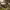 https://res.cloudinary.com/billionhands/image/upload/v1775452754/items/rrnaen3qhqyj6sgl1j8v.jpg-0cover