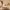 https://res.cloudinary.com/billionhands/image/upload/v1775452803/items/x5vglejpnfdzamk9s5wi.avif-2cover