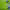 Golfbidder (Online) cover