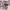 https://res.cloudinary.com/billionhands/image/upload/v1775452896/items/ryw4rawfzw02oz1yphz7.jpg-2cover