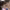 https://res.cloudinary.com/billionhands/image/upload/v1775453211/items/bveefzdpamxublp5cga6.avif-3cover