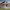 https://res.cloudinary.com/billionhands/image/upload/v1775454706/items/celpipvkzwthj6grqlo0.avif-2cover
