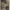 https://res.cloudinary.com/billionhands/image/upload/v1775454763/items/brru599zf0rlfdse0z4f.jpg-1cover