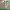 https://res.cloudinary.com/billionhands/image/upload/v1775454776/items/hq5yw8ksgolq5fml7pvf.jpg-1cover