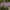 https://res.cloudinary.com/billionhands/image/upload/v1775456702/items/dce0jedinsn6kxkkvppl.webp-2cover