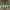 https://res.cloudinary.com/billionhands/image/upload/v1775458901/items/b7xbepm7bxasqj1pjr9t.jpg-2cover