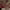 El Largo Camino a la Felicidad (2026) cover